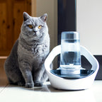 SureFlap Felaqua Connect Smart Pet Water Bowl – White